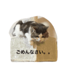 くーたん2（個別スタンプ：6）