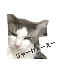 くーたん2（個別スタンプ：7）
