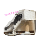 くーたん2（個別スタンプ：12）