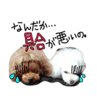 poodles..（個別スタンプ：9）