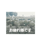 あじさいの日常2（個別スタンプ：1）