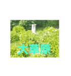あじさいの日常2（個別スタンプ：2）