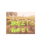 あじさいの日常2（個別スタンプ：3）