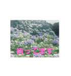 あじさいの日常2（個別スタンプ：4）