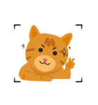 the cat names Neritic Squid（個別スタンプ：7）