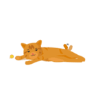 the cat names Neritic Squid（個別スタンプ：11）
