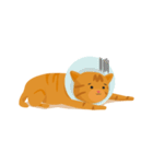 the cat names Neritic Squid（個別スタンプ：22）