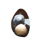 cute  parrot（個別スタンプ：5）