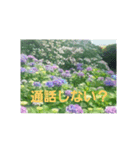 ajisai   japan（個別スタンプ：4）