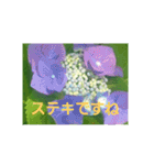 ajisai   japan（個別スタンプ：9）