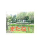 ajisai   japan（個別スタンプ：16）