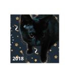 happyhappynewyear（個別スタンプ：2）