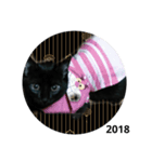 happyhappynewyear（個別スタンプ：3）
