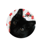 happyhappynewyear（個別スタンプ：5）