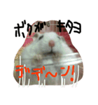 クレイジーおチビ2（個別スタンプ：1）