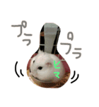 クレイジーおチビ2（個別スタンプ：3）