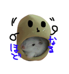 クレイジーおチビ2（個別スタンプ：5）