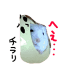 クレイジーおチビ2（個別スタンプ：6）