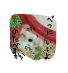 クレイジーおチビ2（個別スタンプ：9）