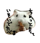 クレイジーおチビ2（個別スタンプ：11）