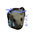 クレイジーおチビ2（個別スタンプ：15）