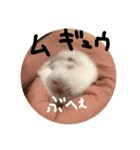 クレイジーおチビ2（個別スタンプ：18）