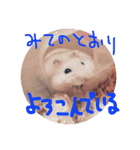 クレイジーおチビ2（個別スタンプ：19）