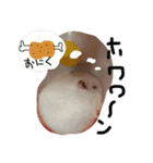 クレイジーおチビ2（個別スタンプ：21）