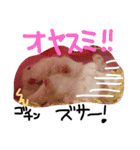クレイジーおチビ2（個別スタンプ：24）