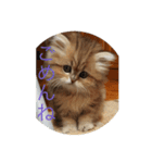 うらんうらん（個別スタンプ：3）