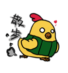 Belly chicken2（個別スタンプ：1）