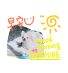 doggy MAY（個別スタンプ：8）