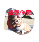 corgi poka（個別スタンプ：8）