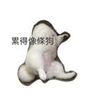 lazy niou（個別スタンプ：14）