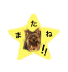 リク＆ソフィー（個別スタンプ：8）