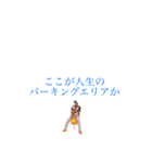 アンドロイドのいつ使うのスタンプ（個別スタンプ：2）