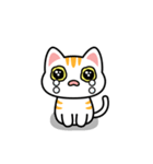 UNO CAT No.17 Basic Sticker（個別スタンプ：12）