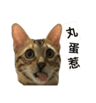 Morris-momo（個別スタンプ：2）