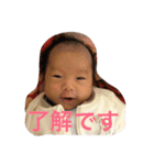 たいぼうの初めましてスタンプ（個別スタンプ：1）
