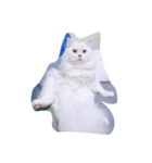 cat mo zo（個別スタンプ：1）