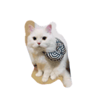 cat mo zo（個別スタンプ：2）