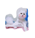 cat mo zo（個別スタンプ：7）