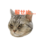わさびの2（個別スタンプ：3）