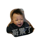 woho（個別スタンプ：1）