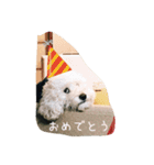 毎日おにゃ子 2（個別スタンプ：5）