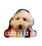 毎日おにゃ子 2（個別スタンプ：11）