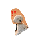毎日おにゃ子 2（個別スタンプ：14）