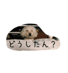 毎日おにゃ子 2（個別スタンプ：15）