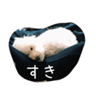 毎日おにゃ子 2（個別スタンプ：16）