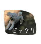 毎日おにゃ子 2（個別スタンプ：17）